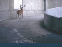 The Myth of progress: Toward a sustainable&nbsp;future.